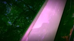 I strip and play with my pussy in the car while you watch me cum hard