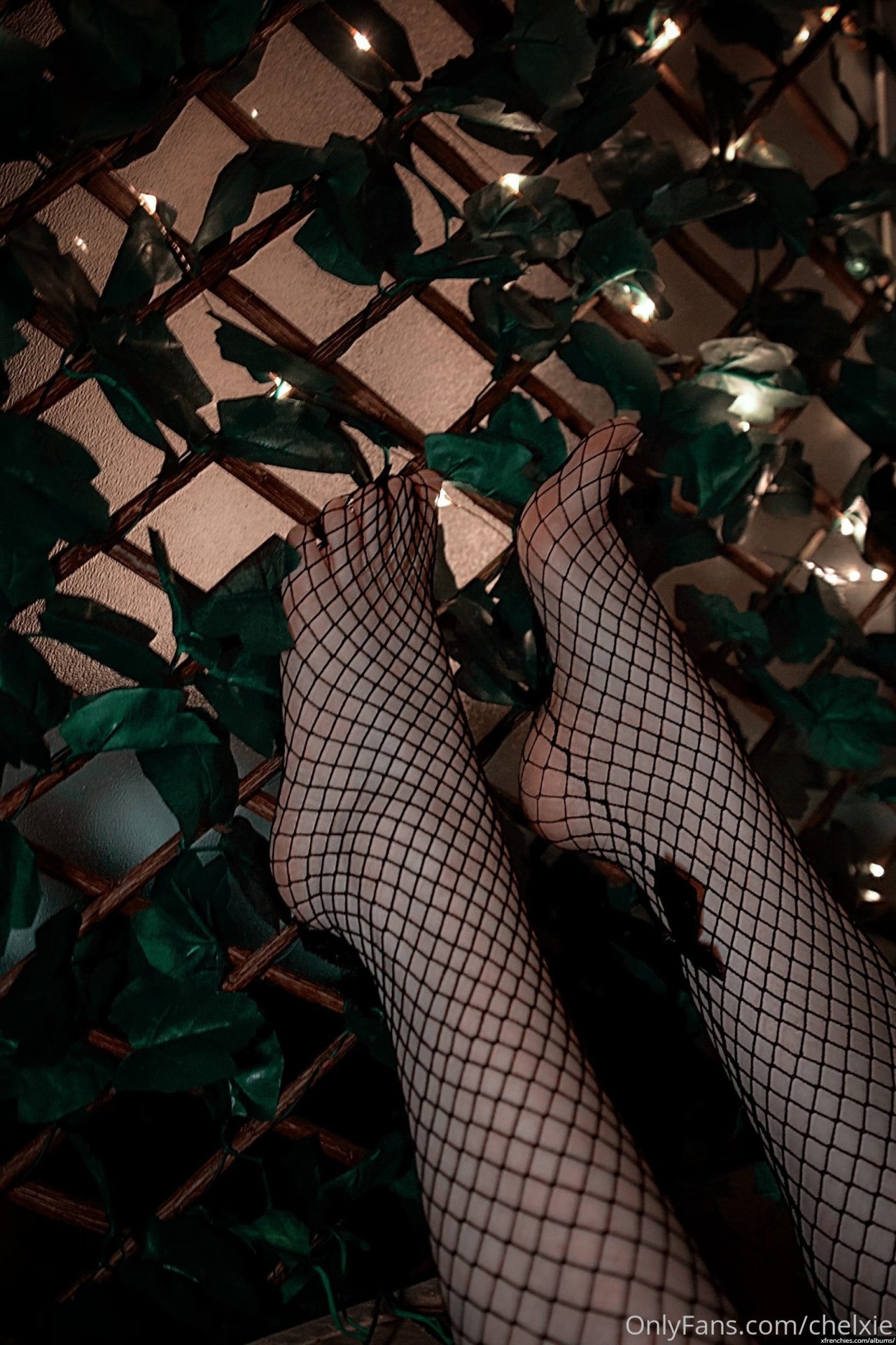 Photos des pieds de Chelxie Onlyfans Leak n°66