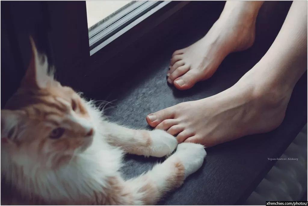 Albums photos de pieds sexys dans des collants n°60