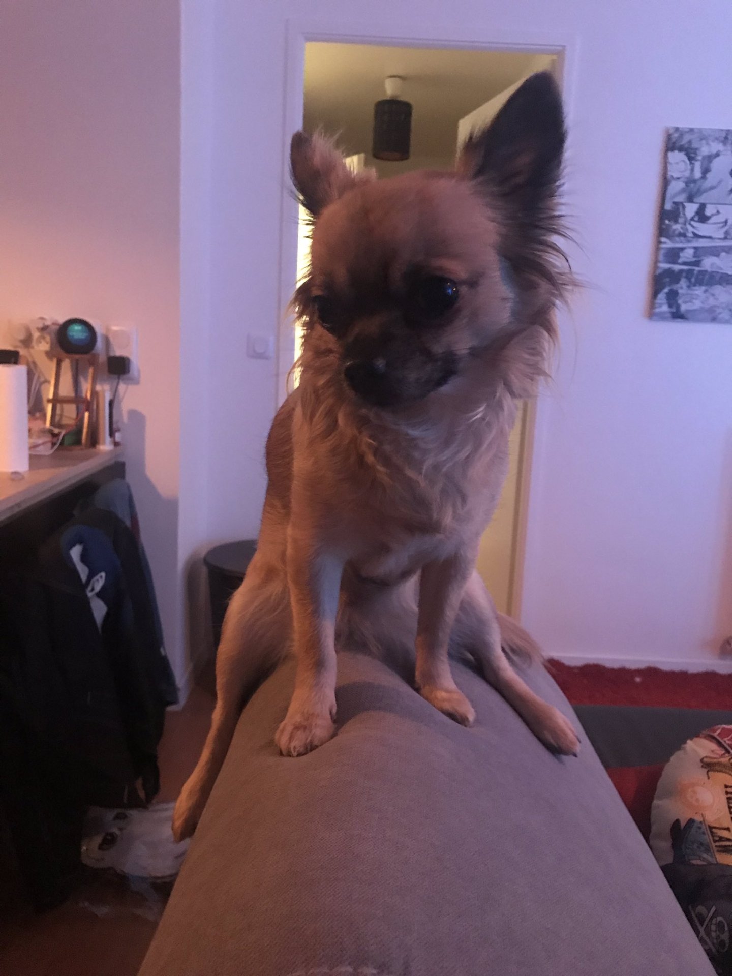 Tous les leaks onlyfans et nudes snapchat de Chelxie part 3 n°130